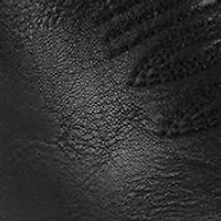 Nails Studs Western Boots