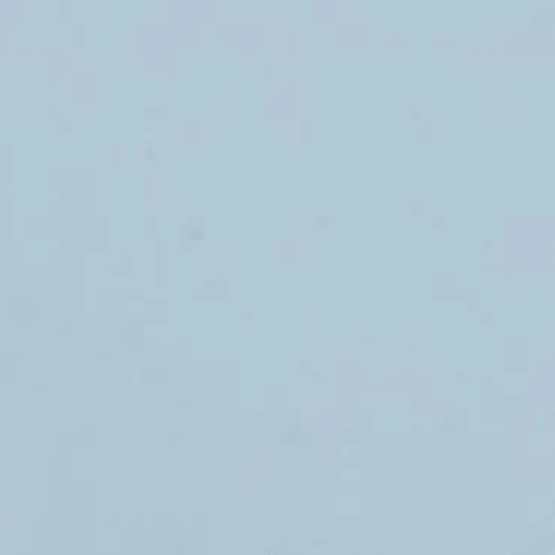 Noelle Low Block Heel Sandals