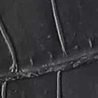 Annalee Dress Ankle Boots