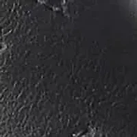 Divine Block Heel Sandals