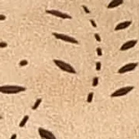 Weare Comfort Sandals