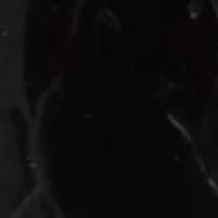 Purpose Slip-On Shoes