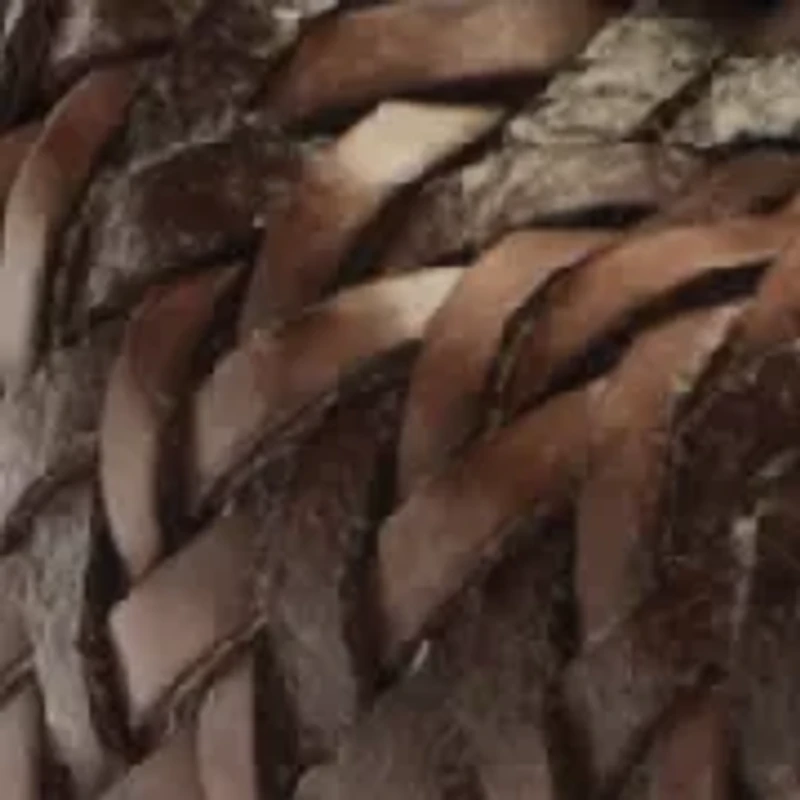 Kalina Platform Sandals