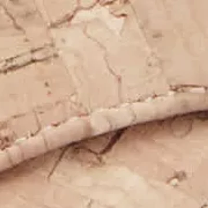 Noya Round Toe Dress Wedge Sandals