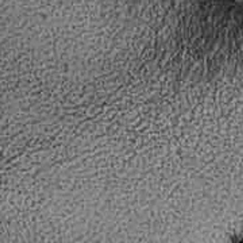 Delicia eFlex Almond Toe Block Heel Dress Sandals