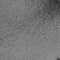 Delicia eFlex Almond Toe Block Heel Dress Sandals