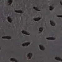 Nottingham Slip-Resistant Sneakers