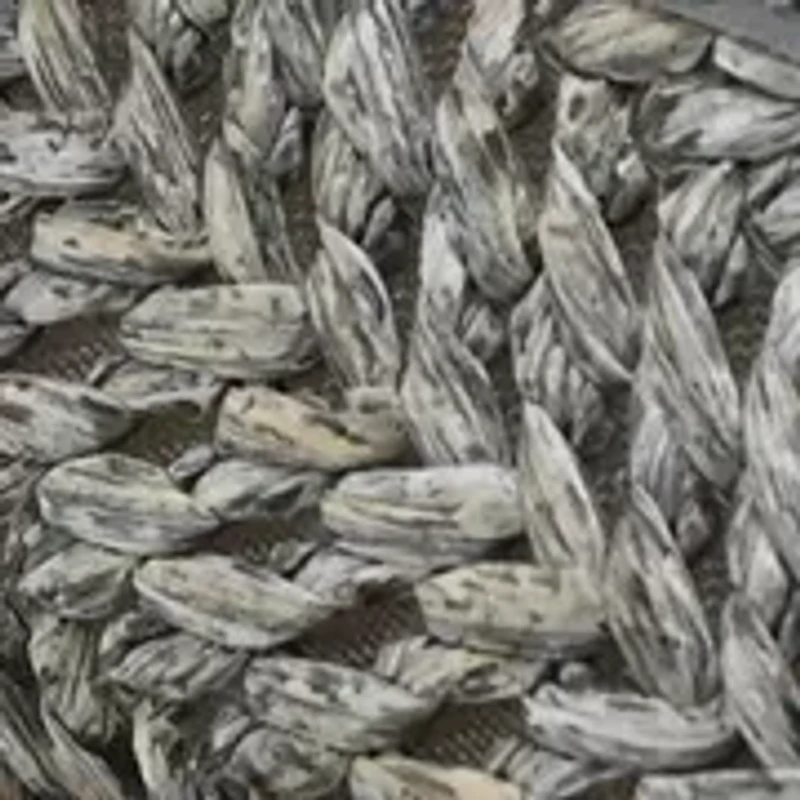 Naomi Raffia Loafers