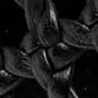 Evonna Round Toe Mary Jane Dress Flats