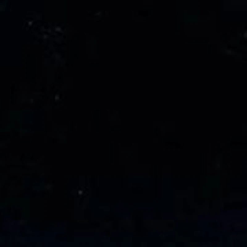 Joel Leopard Fashion Sneaker