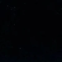 Joel Leopard Fashion Sneaker