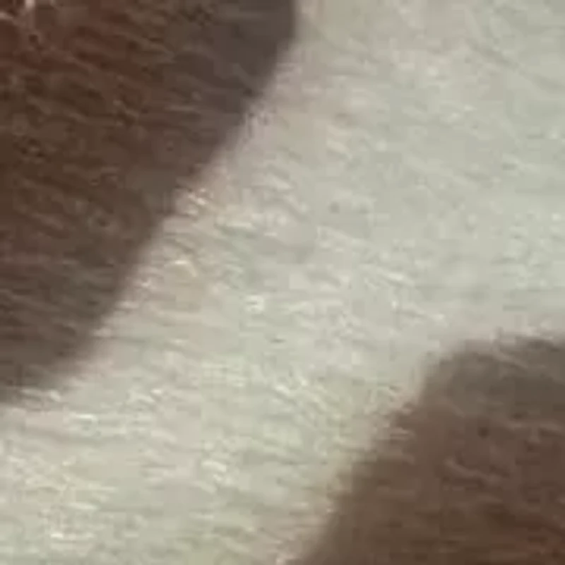 Andi Women's Slip-on Clog