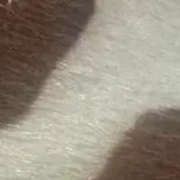 Andi Women's Slip-on Clog