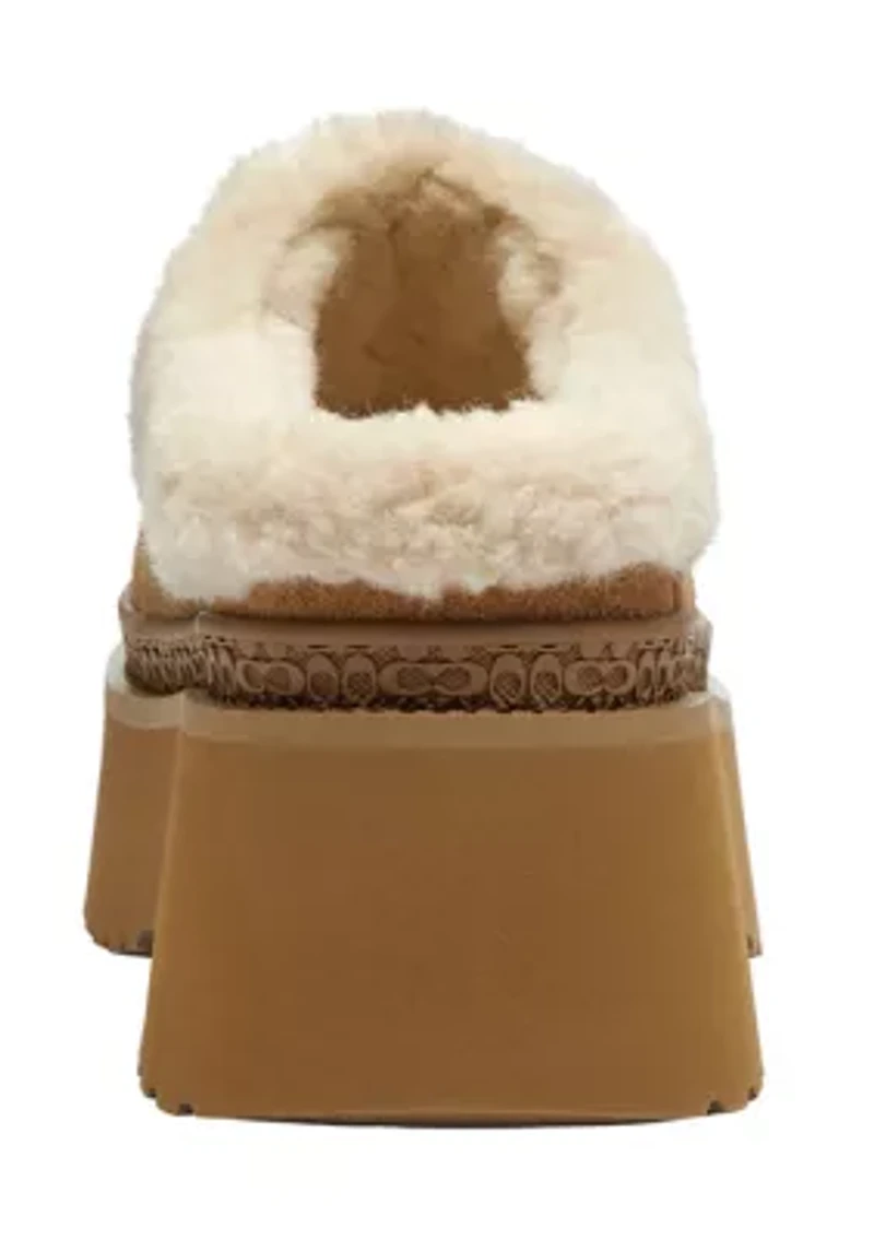 Cecelia Signature Suede Clogs