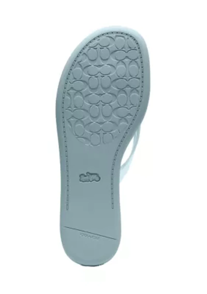 Jelly Signature Flip Flop Thong Sandals