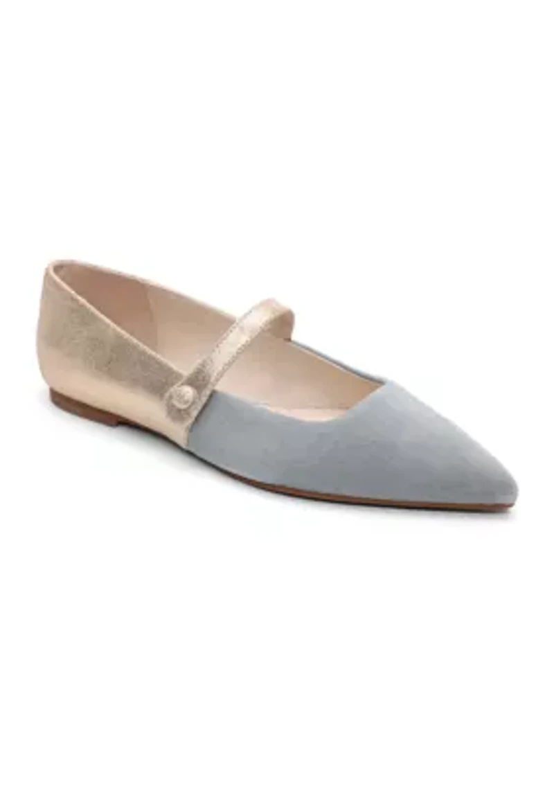 Clamour Mary Jane Pointy Toe Flats