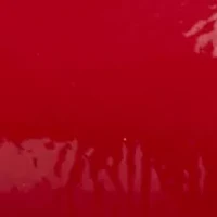 Halo Mary Jane Flats