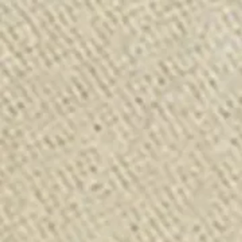 Karina Shimmer Platinum Sneakers