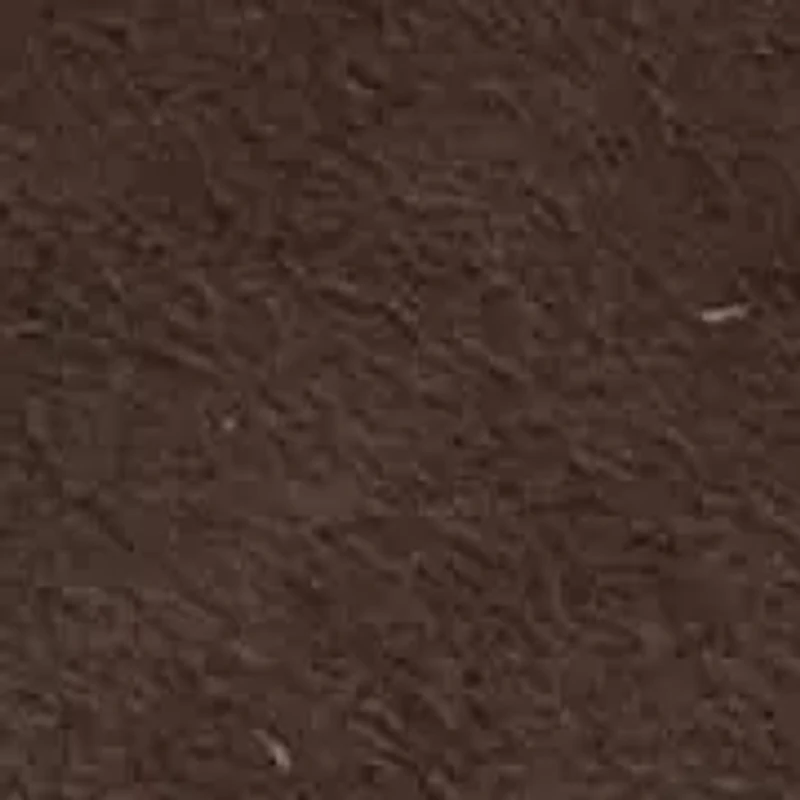 Cordera Pointy Toe Stiletto Heel Dress Pumps