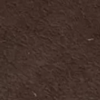 Cordera Pointy Toe Stiletto Heel Dress Pumps