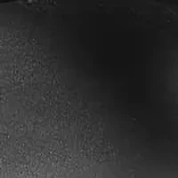 Grove Toe Post Sandal