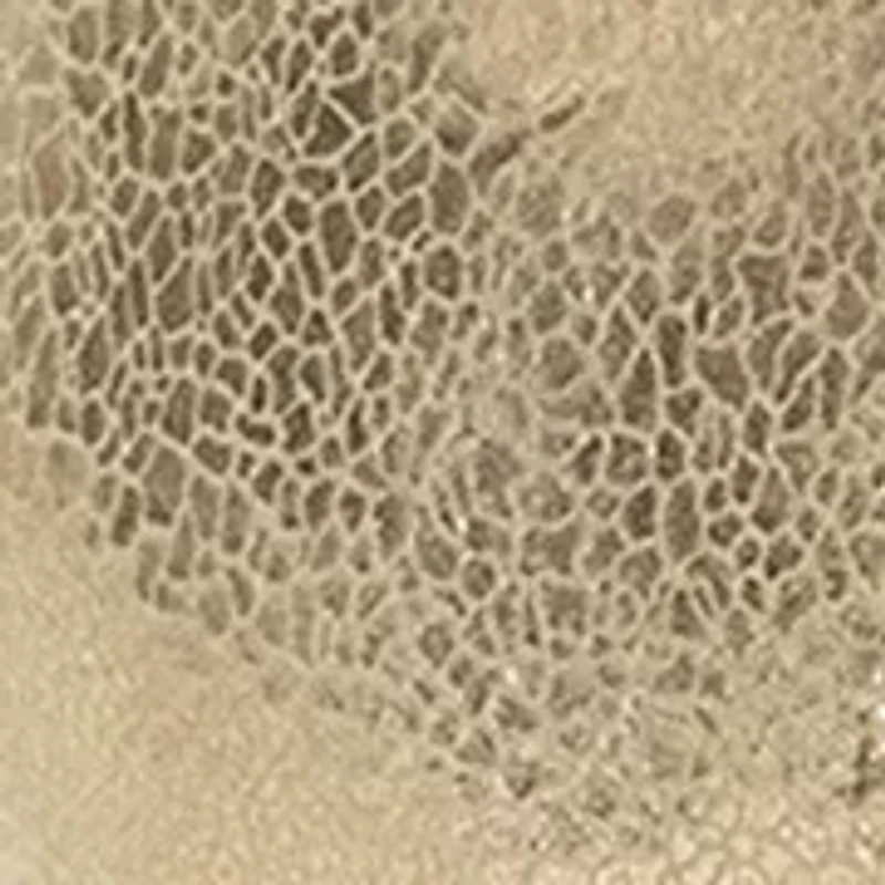 Women's Bosco Sneakers