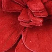 Chasing Sunsets Sandals