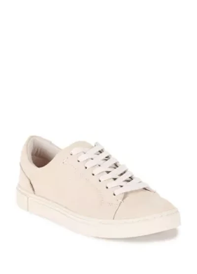 Ivy Low Lace Sneakers