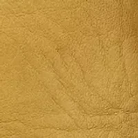 Campus Chelsea Boots