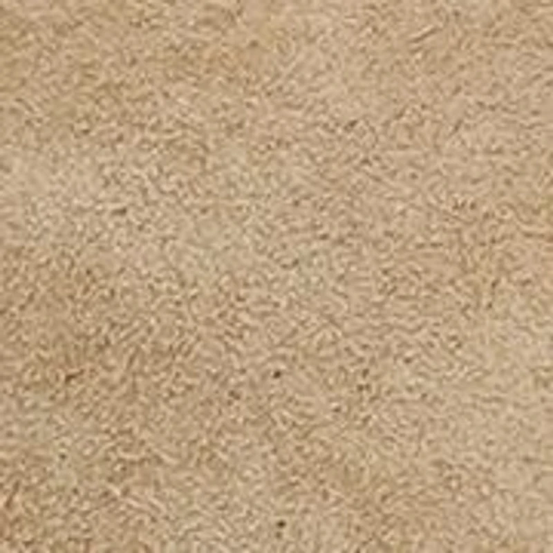 Campus 12R Riding Boots