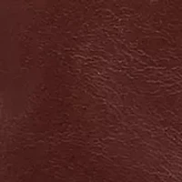 Women's Melissa Button Tall Boots