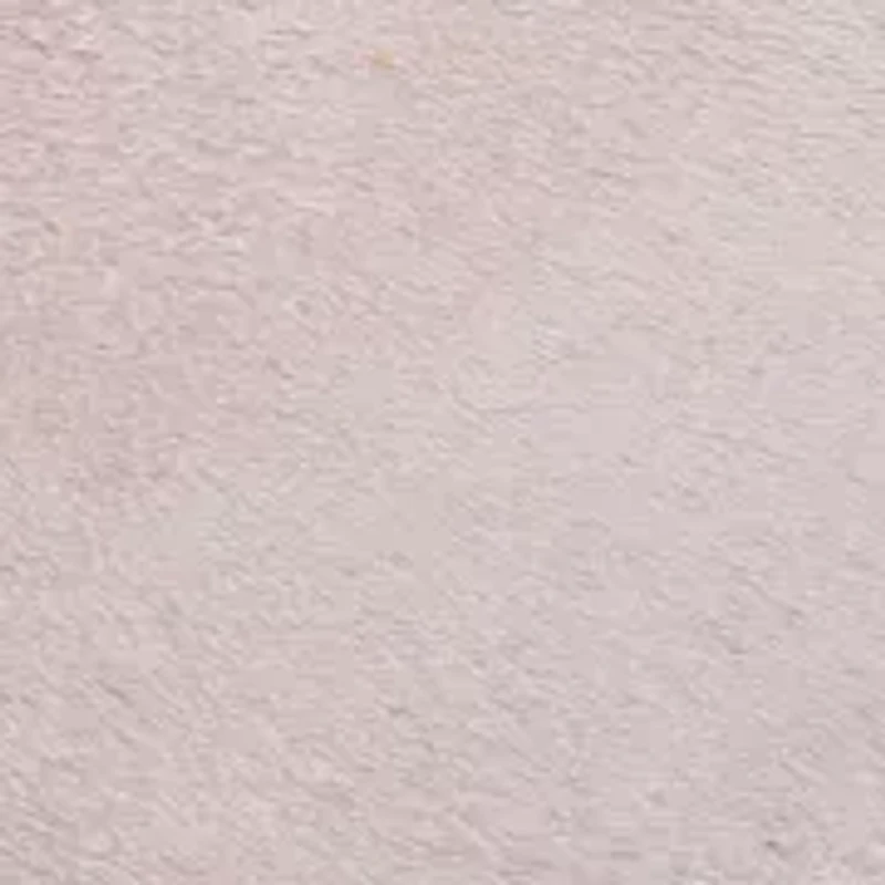 Paula Low Top Sneakers