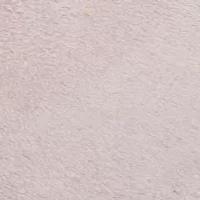 Paula Low Top Sneakers