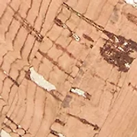 Mari Cork Slingbacks