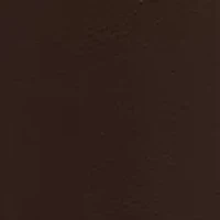 Women's Flapper Boots