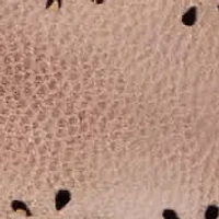 Qamra Block Heel Square Toe Slip-on Dress Sandals