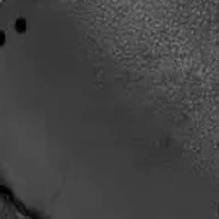 Haisly Round Toe Block Heel Slip-on Sandals