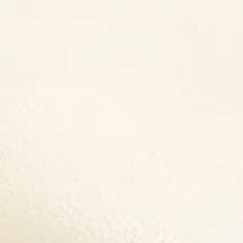 Eleanor Ballet  Flats