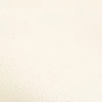 Eleanor Ballet  Flats
