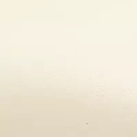 Faye Mid Stiletto Pumps