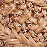 Clara Platform Wedge Sandal