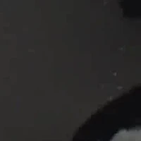 Dreke Slip-on Pointy Toe Dress Pumps