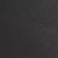 Nomas Pointy Toe Tall Shaft Dress Boots