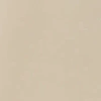 Nomas Pointy Toe Tall Shaft Dress Boots