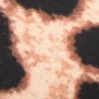 Bowey Slip-on Pointy Toe Dress Pumps