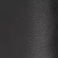 Gerty Pointy Toe High Shaft Dress Boots