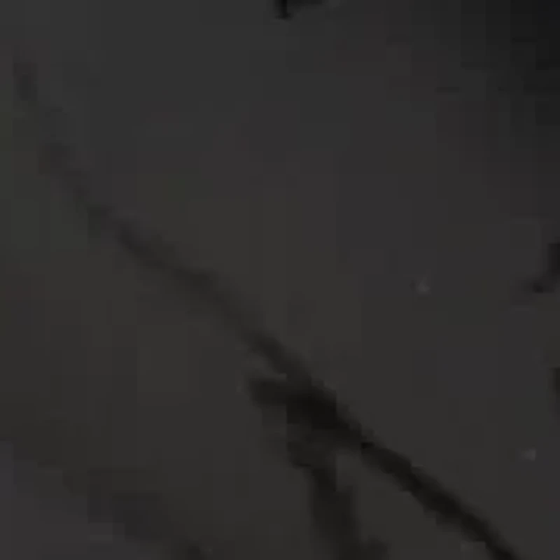 Kates Pointy Toe Dress Slingback Pumps