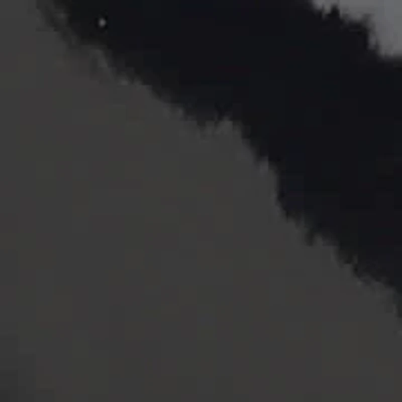 Korela Pointy Toe Slip-on Dress Pumps