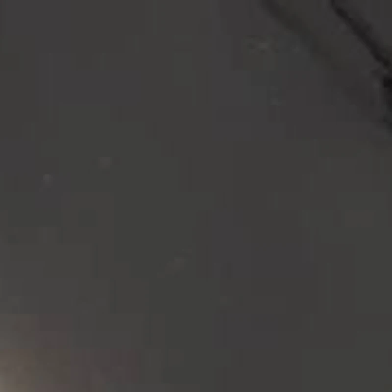 Amayo Pointy Toe Slingback Dress Pumps