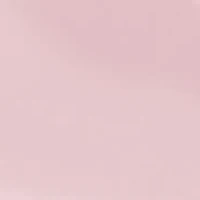 Grana Pointy Toe Stiletto Heel Dress Pumps